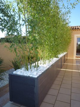 Jardins Evasion – Plantation – Montpellier